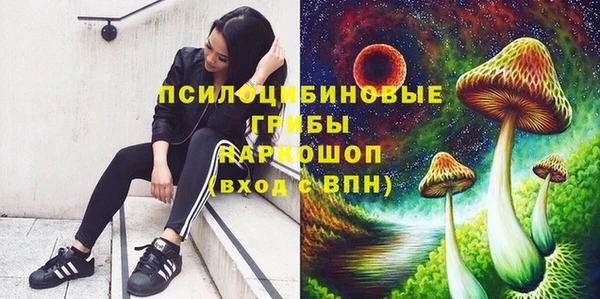 метамфетамин Богданович