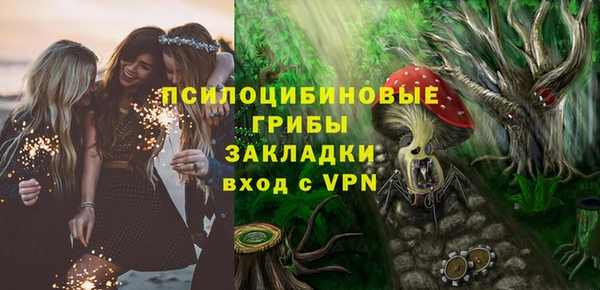 амф Белокуриха